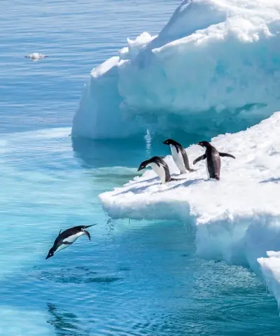 Antarctica